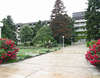 Lotos Hotel 